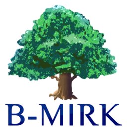 B-MIRK Enterprises Corporation