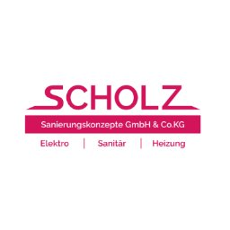 Scholz Sanierungskonzepte GmbH & Co. KG