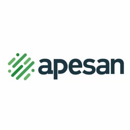 APESAN OTOMOBİL PASPASI SANAYİ VE TİCARET LİMİTED ŞİRKETİ logo