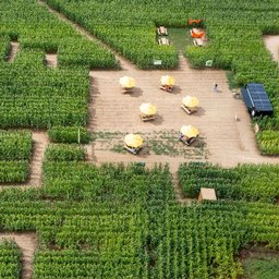 POP CORN LABYRINTHE ROUEN Logo