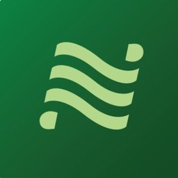National Car Rental Logo