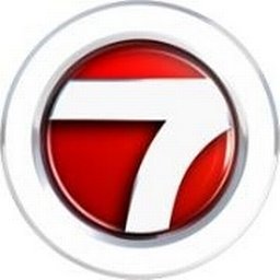 WSVN 7News logo