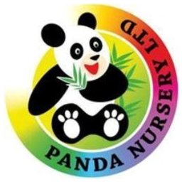 Panda Nursery