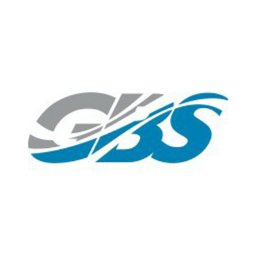 Global Business Solutions logo