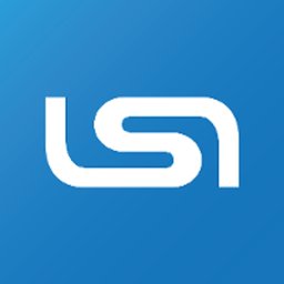 LSI Solutions logo