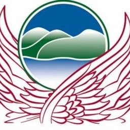 companyLogo
