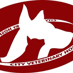 City Veterinary Hospital