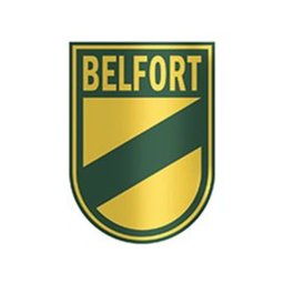 BELFORT SEGURANÇA