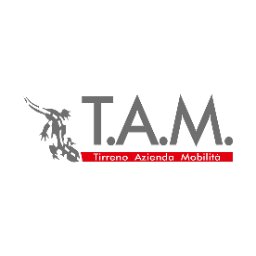 T.A.M. srl Logo