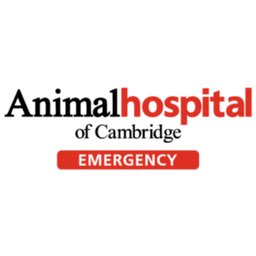 Animal Hospital of Cambridge logo