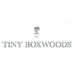 Tiny Boxwoods logo