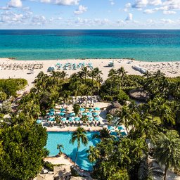 The Palms Hotel & Spa