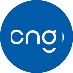 Centre national de gestion Logo