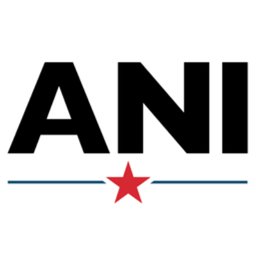American National Insulation logo