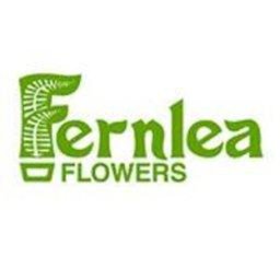 Fernlea Flowers