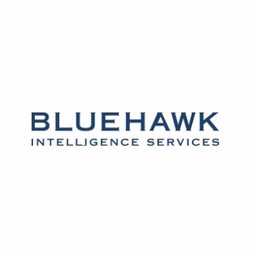 BLUEHAWK, LLC logo