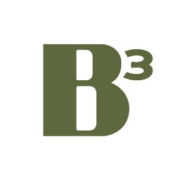Bikube Logo