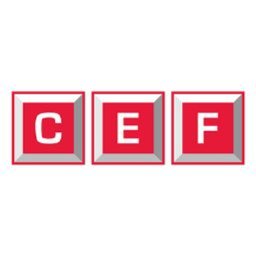 City Electrical Factors