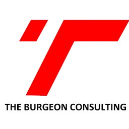 jobs in The Burgeon Consulting