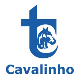 Transportes Cavalinho Ltda