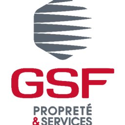 GSF ORION Logo