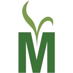 Meister Media Worldwide