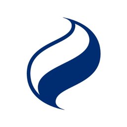SSE PLC Logo