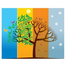 Spring Valley Living