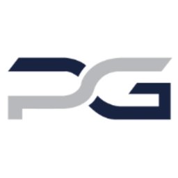 Platinium Group - Logo