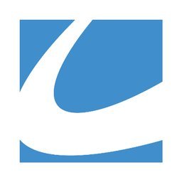 Capital Auto Group