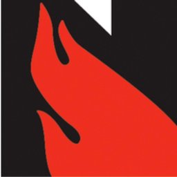 National Fire Equipment Ltd. logo