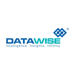 Datawise Management Services India Private Limited logo