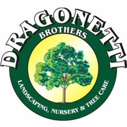 companyLogo