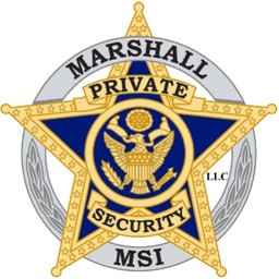 MSI Security