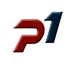 P1 Dental Partners logo