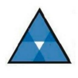 PPT Solutions, Inc. logo