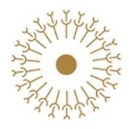 Wish Recovery logo