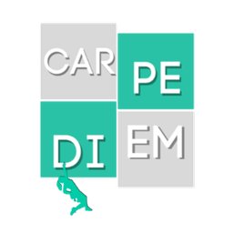 Carpe diem srl Logo