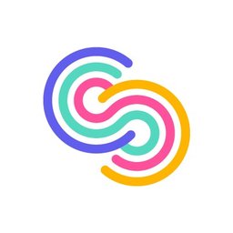 CHOICE SUPPORT