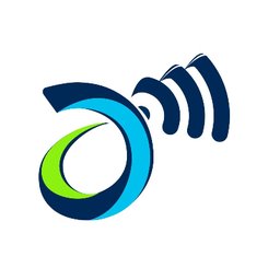 DM Wireless Inc. Logo