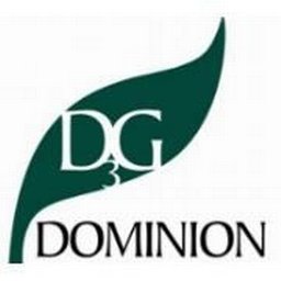 Dominion Due Diligence Group logo