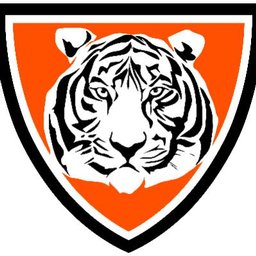 companyLogo