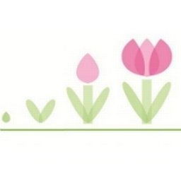 Northeast Florida Healthy Start Coalition