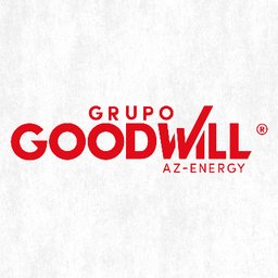 GRUPO GOODWILL