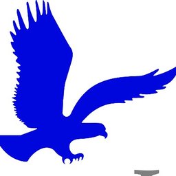 First Insurance Group