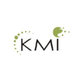 KMI Business Technologies Pvt Ltd logo