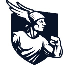 Dyflexis logo