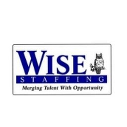 Wise Staffing Group