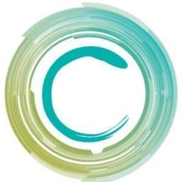 Conceptions Florida logo