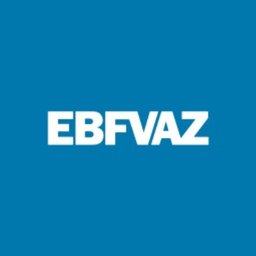 EBF Vaz Indústria e Comércio Ltda